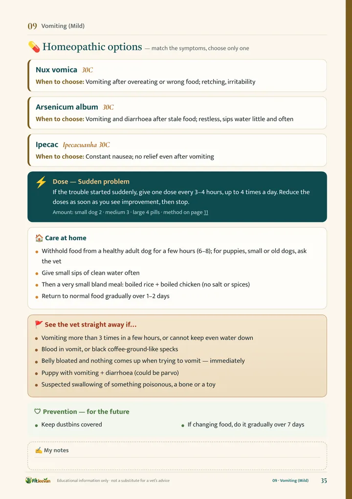 Chapter, right page (remedies — in the book)