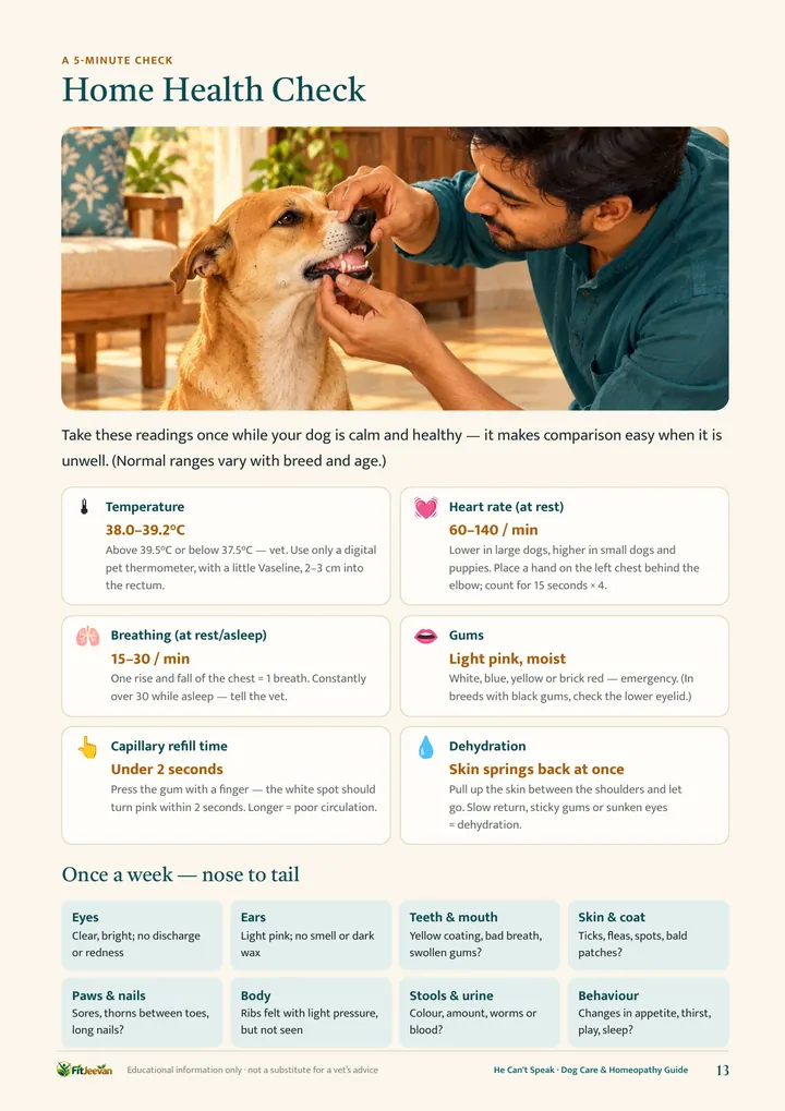 5-minute home health check