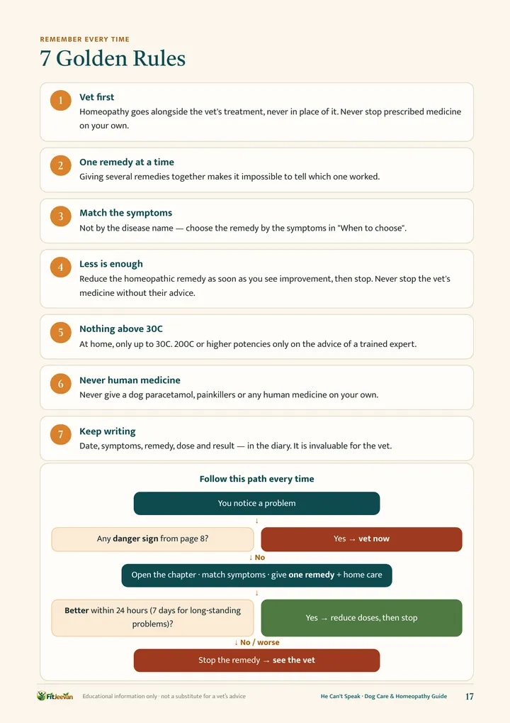 7 golden rules
