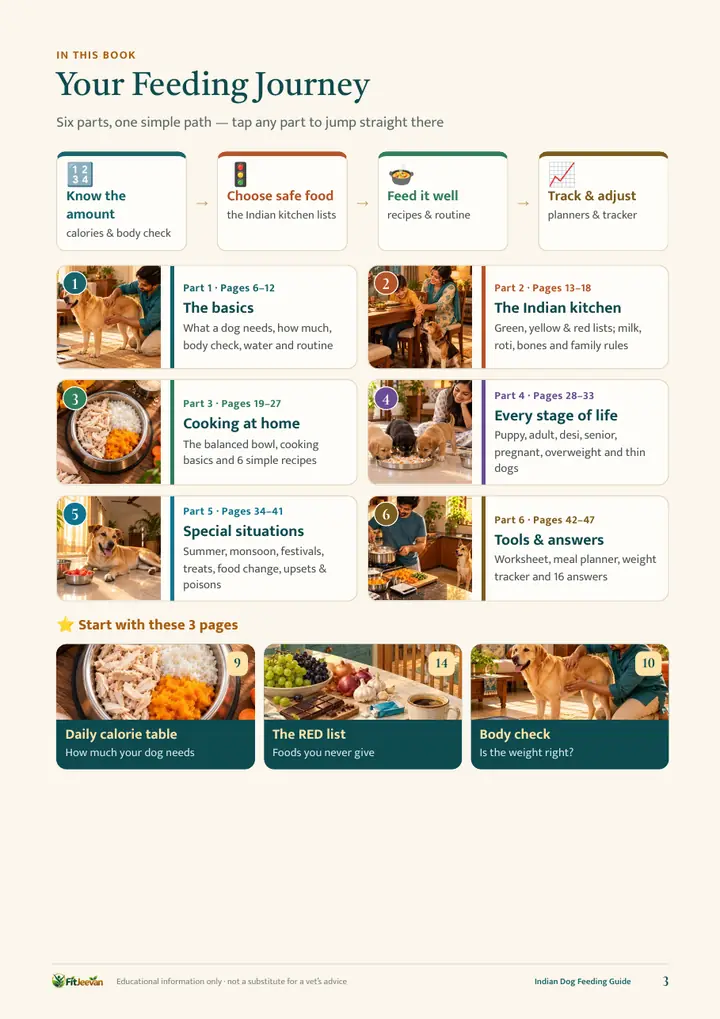 Sample page: Your feeding journey — the whole book at a glance