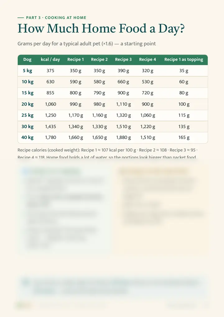 Sample page: How much home food a day? (gram table)