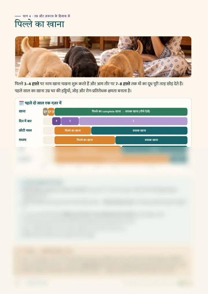नमूना पेज: पिल्ले का खाना