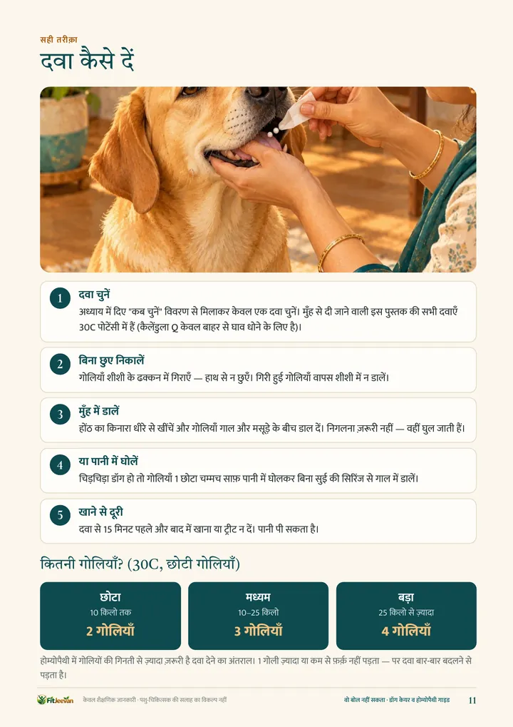 दवा कैसे दें — सही तरीक़ा