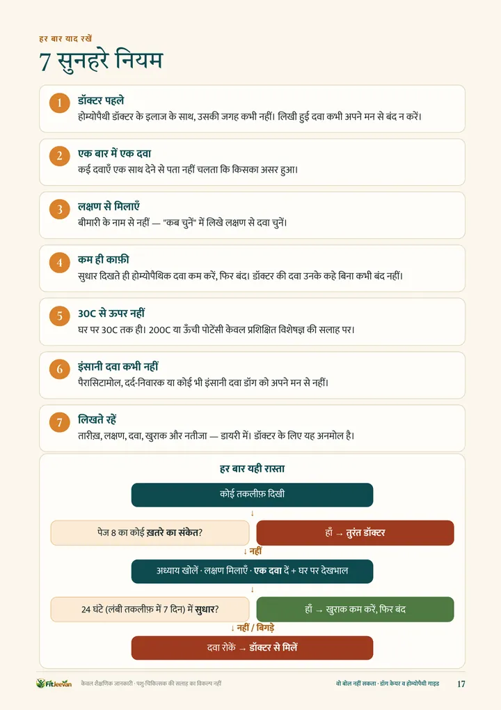 7 सुनहरे नियम