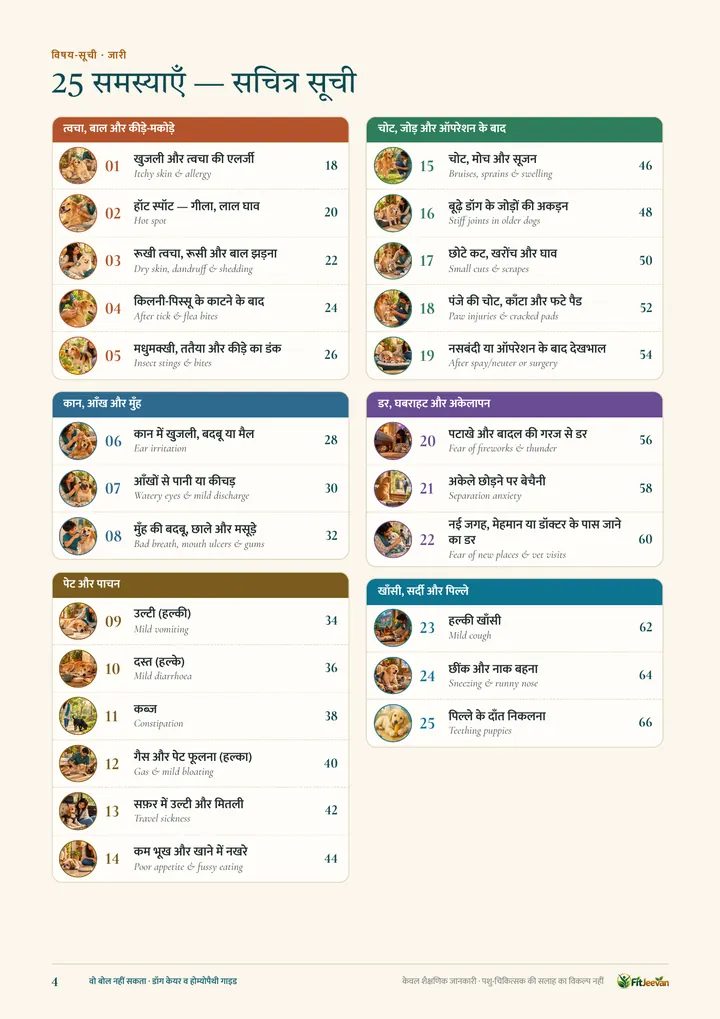 सचित्र सूची — 25 समस्याएँ