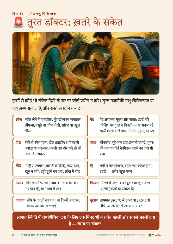 तुरंत डॉक्टर — ख़तरे के संकेत (पेज 8)