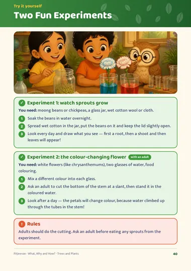 Easy experiments at home