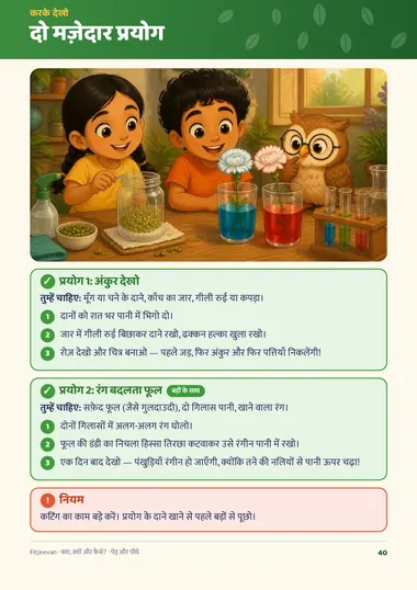 घर पर आसान प्रयोग